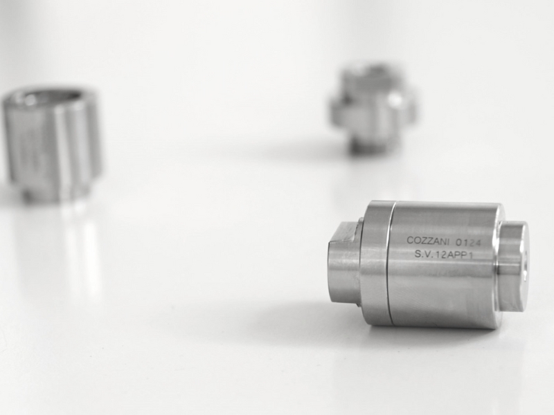 APP Valves - COZZANI | Compressor Valves